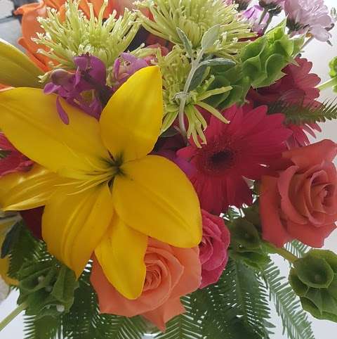 Photo: Devonport Special Flowers